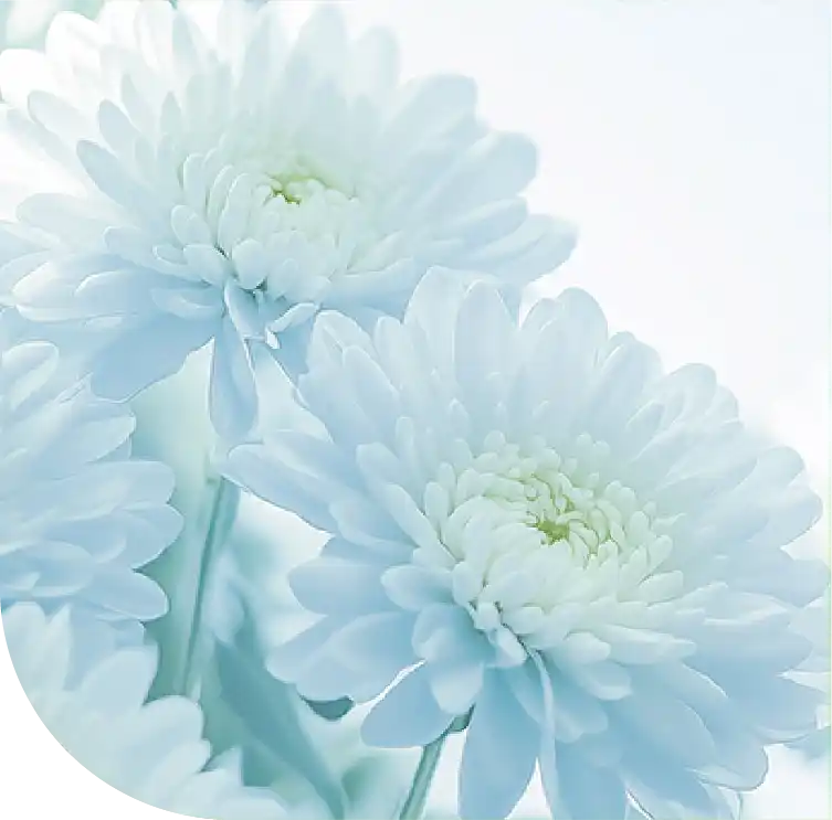 関西でのご葬儀を支える松叶 ~SHOKA~